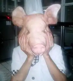 搞笑gif正儿八经的猪头
