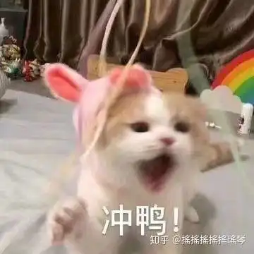 有哪些可爱的高糊小动物表情包
