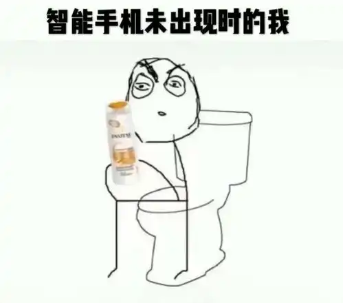 搞笑图上厕所看完了配方表
