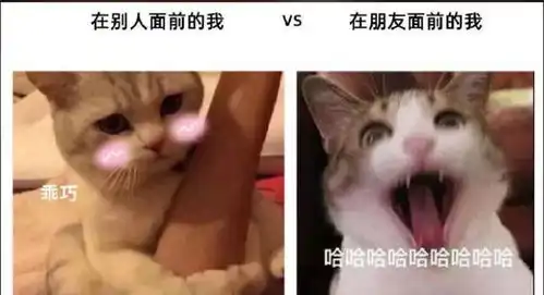 搞笑图片抗日神剧中的土坦克哈哈笑死

