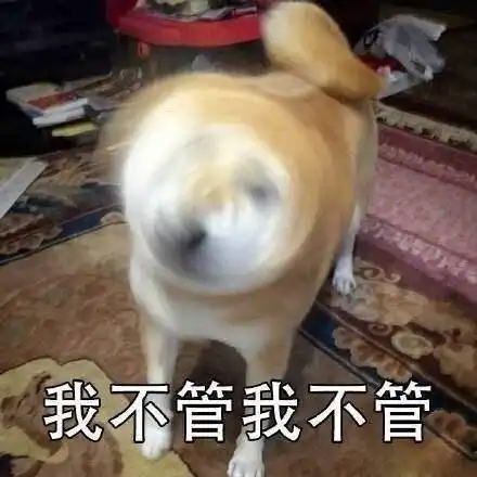 普京牵狗会晤安倍是否符合外交礼节
