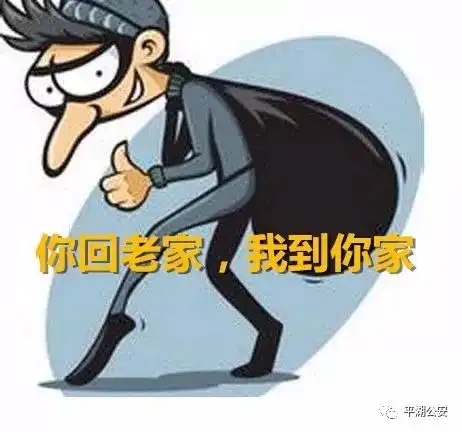 喝酒发飘为搞副业,男子竟夜里在平湖某西瓜棚偷起了电瓶......
