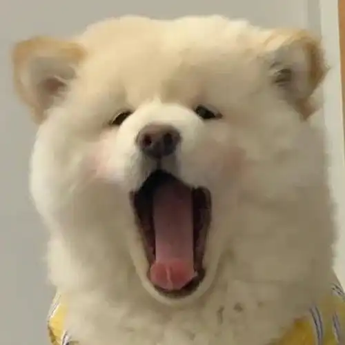 搞笑女必用的一组头像
