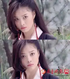 蒋欣成名之前跑龙套电视剧截图网友竟是从肩膀认出她的
