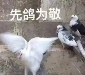 是谁在偷窥我的生活
