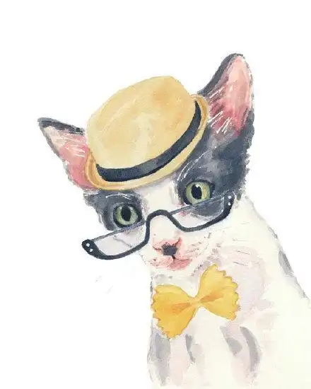 插画师用一双慧眼发现了动物的美好无比生动且温馨的样子
