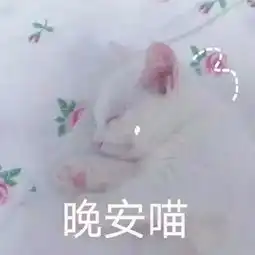 朋友圈晚安动态最火表情包晚上好表情图片动画
