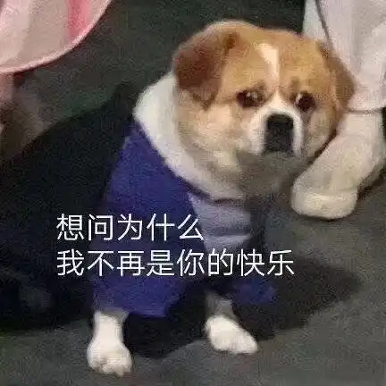 这几大星座是不配拥有爱情吗全世界就你单身
