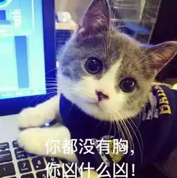 情话视频直播全集情话资料大全yy官方