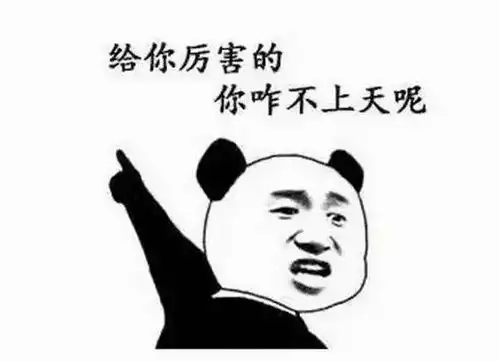 快来安排上了