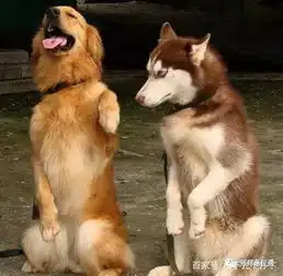 晚上我爸喝多了,被几个叔叔扶回家,把我爸放到沙发上后.......
