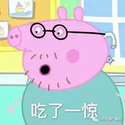 一辆普通轿车可以装多少头猪猜对算我输了
