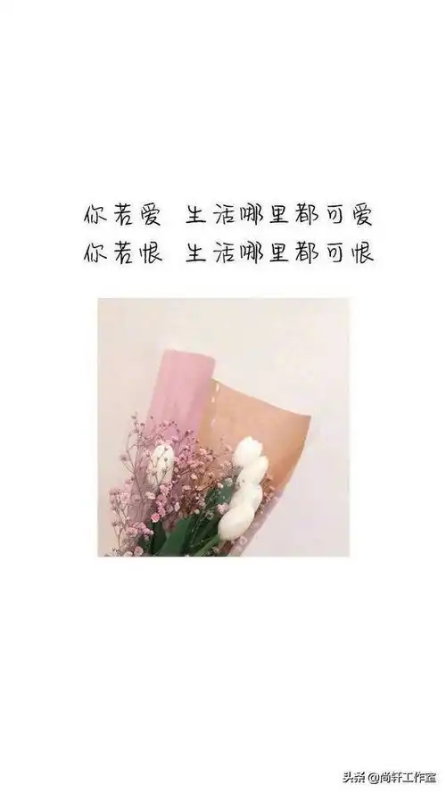 18句搞笑逗比句子毒鸡汤句句奇葩看完心情都好多了
