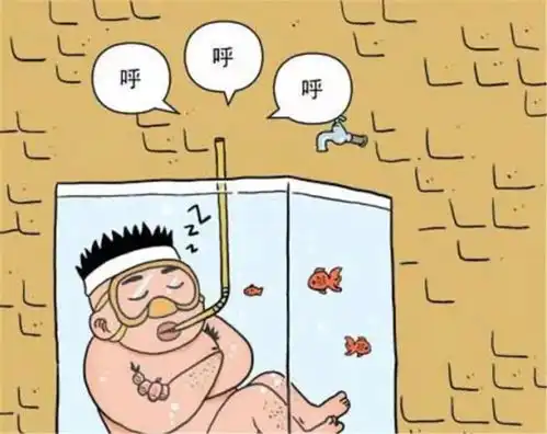 无标题
