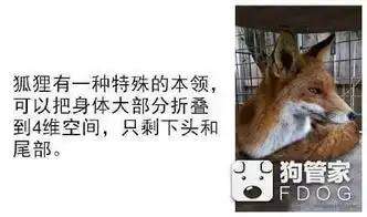 关于动物的几个有趣的冷知识,一本正经的
