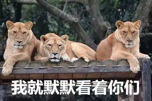 动物园给狮子搞了个逃生演练,现场观摩的兽王看蒙圈了
