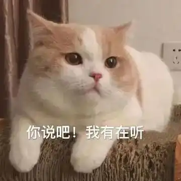 呕呕呕呕呕呕丨第138期喵表情

