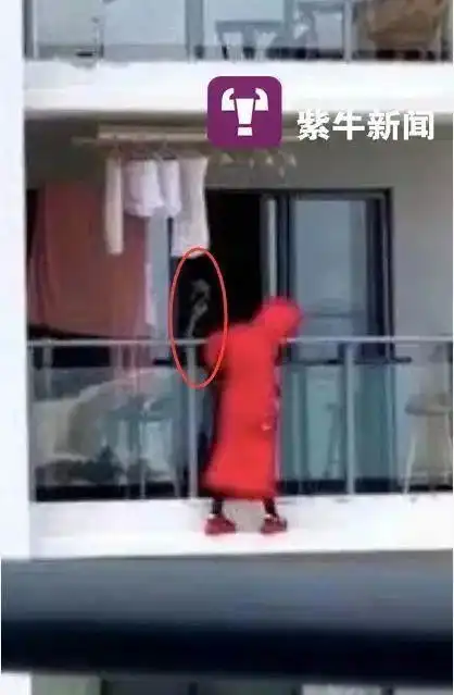 三亚女子跳舞坠楼疑点重重同室男子身份成谜

