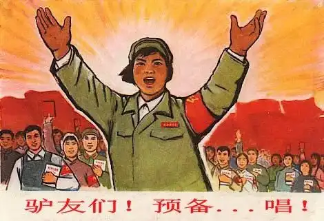 户外搞怪金曲大全
