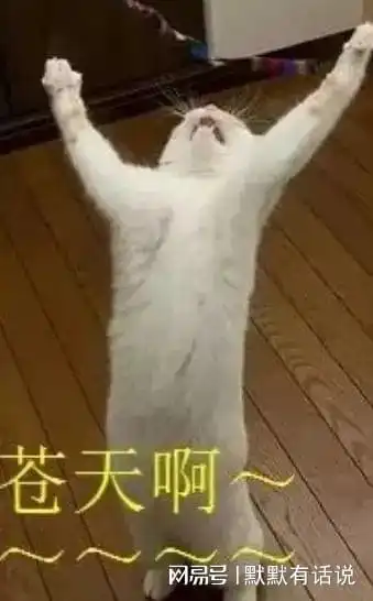 林更新当面表白为你坏习惯我都改,赵丽颖当面回应苍天啊
