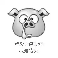 搞笑猪头微信头像下载微信头像图片大全
