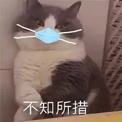 企鹅体育携手女子明星跑团,邀您一同围观俪量客厅训练营

