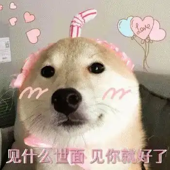 你家狗狗真可爱,把它送我吧