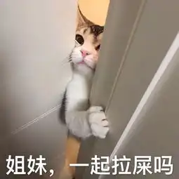 请查收今日搞笑表情包
