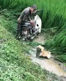 搞笑趣图方法我是学会了,但是好像没这个条件玩呀