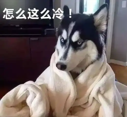 据说除夕前有短暂的晴好天气来了解下
