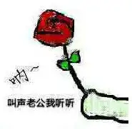 撩妹套路的全套表情包,撩妹技能什么最重要
