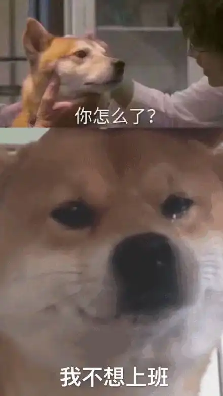 搞笑表情包来袭,宝宝们快来领取了
