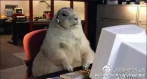 常玩微博会变胖
