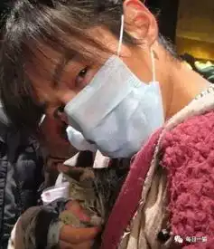 放开那个胡歌,伦家来啦
