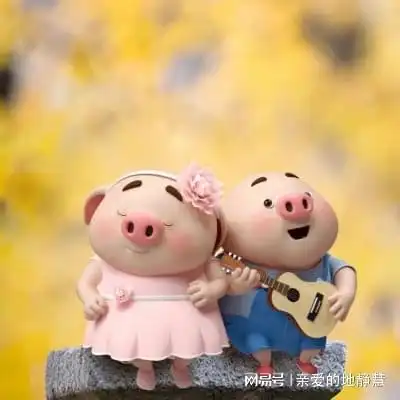 呆萌又可爱的猪小屁来了
