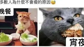 网上那些有趣的沙雕图第一百零八期
