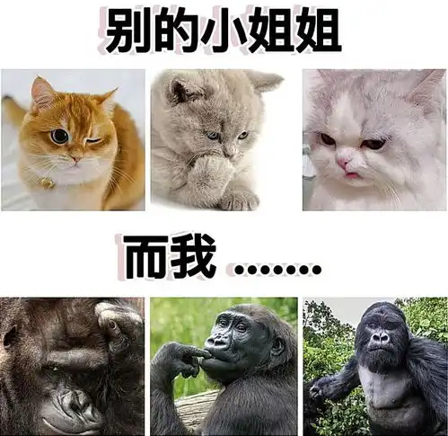 搞笑趣图当我从外面刚回到空调房时
