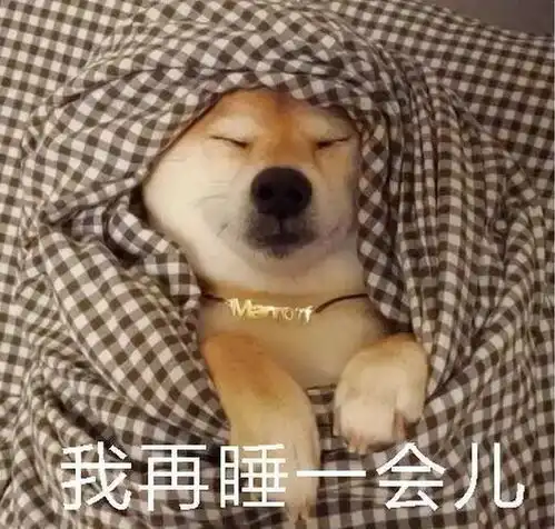 室外阴冷,不如在家赖床
