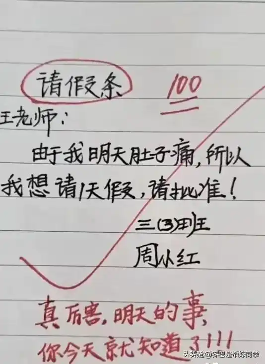 搞笑段子专家和驴的区别是什么
