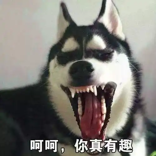 哈皮涛涛跟朋友聊天最容易闹笑话的十个字,国人看了想撤回
