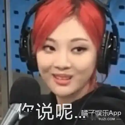吴京接班人拿放哥蔡亨源成新晋表情包大户,谁想是韩团门面
