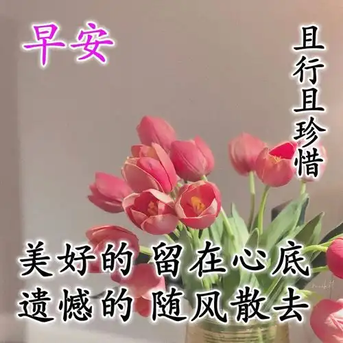 早安心语最新的早上好图片最火最好的早上好正能量问候语
