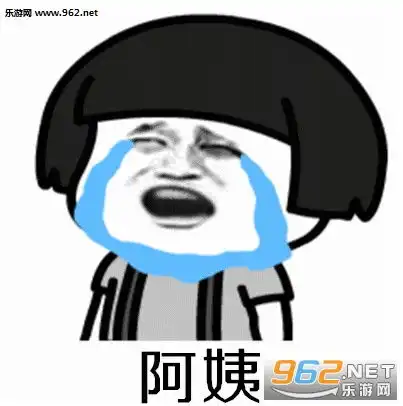 阿姨你家儿子多少钱我要了图片阿姨你家儿子多少钱表情包下载乐游网游戏下载
