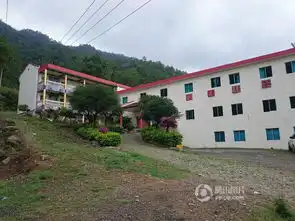 13年前引猴入村搞旅游失败现600只猴占山为王
