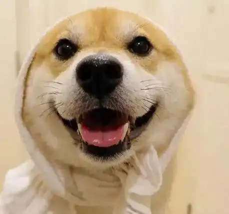 笑一笑十年少
