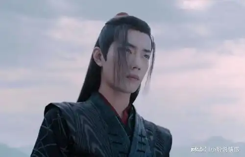 陈情令从百花宴离开前那个意味深长的眼神,是魏婴对蓝湛的告别
