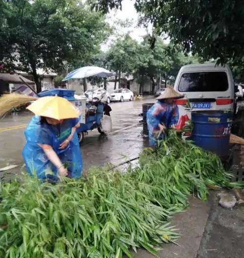 应对大风暴雨天气成都武侯环卫启动应急预案

