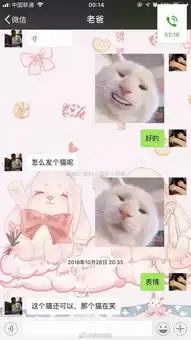 giao哥成了我新男友爸妈对表情包的理解让人崩溃哈哈哈
