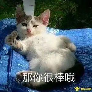 很社会的边境慢跑捡垃圾之旅边境之旅游戏体验
