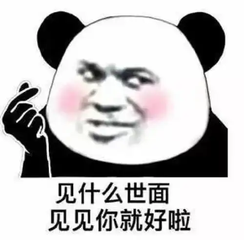 我的男朋友,是用表情包撩来的
